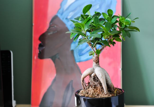 Apartment in Lisbon - Lisbon Martini Nest by Misha's Place (6A) Apartment in Lisbon - Lisbon Martini Nest by Misha's Place (6A)