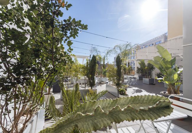 Apartment in Lisbon - Lisbon Martini Nest by Misha's Place (6A) Apartment in Lisbon - Lisbon Martini Nest by Misha's Place (6A)