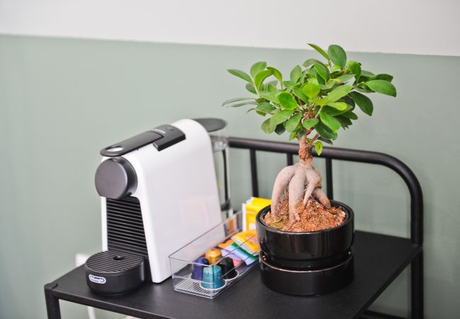 Apartment in Lisbon - Red, Red Wine in Lisbon by Misha's Place (3B) Apartment in Lisbon - Red, Red Wine in Lisbon by Misha's Place (3B)